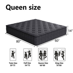 Tryagat 14” Queen Hybrid Mattress in a Box, Medium Firm Queen Size Mattresses, Cooling Gel Memory Foam Mattress with Individually Wrapped Pocket Coils, Pressure Relief